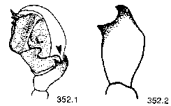 {short description of image}