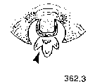 {short description of image}