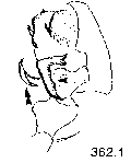 {short description of image}