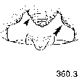 {short description of image}