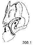 {short description of image}