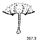 {short description of image}
