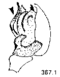 {short description of image}