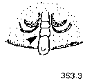{short description of image}