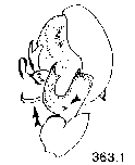{short description of image}