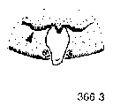 {short description of image}