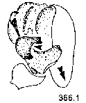 {short description of image}