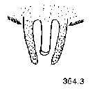 {short description of image}