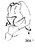 {short description of image}