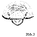 {short description of image}