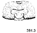 {short description of image}