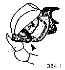 {short description of image}