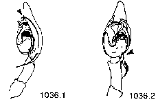 {short description of image}