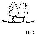 {short description of image}