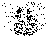 {short description of image}