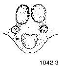 {short description of image}