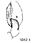 {short description of image}