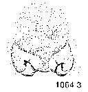 {short description of image}