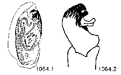 {short description of image}