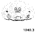 {short description of image}