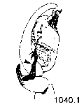 {short description of image}