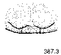 {short description of image}