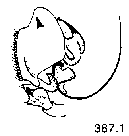 {short description of image}