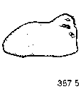 {short description of image}