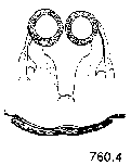{short description of image}