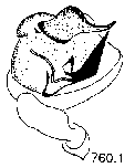 {short description of image}