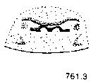 {short description of image}