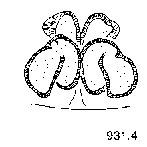 {short description of image}