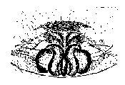 {short description of image}