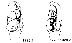 {short description of image}