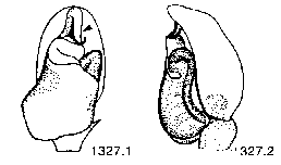 {short description of image}