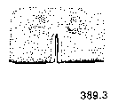 {short description of image}