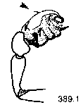 {short description of image}