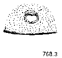 {short description of image}