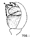 {short description of image}