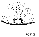 {short description of image}