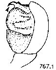 {short description of image}