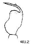 {short description of image}