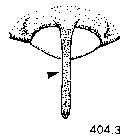 {short description of image}