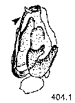 {short description of image}