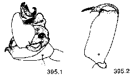{short description of image}