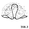 {short description of image}
