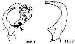 {short description of image}
