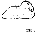 {short description of image}