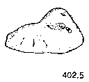 {short description of image}
