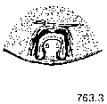 {short description of image}